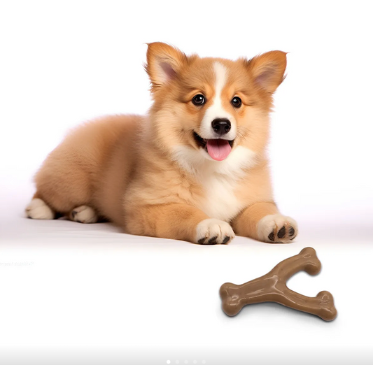 Dog Chew Toy