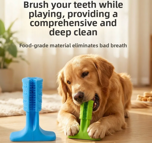 Dog Toothbrush Stick